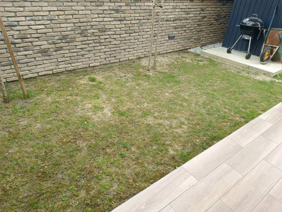 Patchy lawn with uneven grass growth against a brick wall, highlighting landscaping challenges.