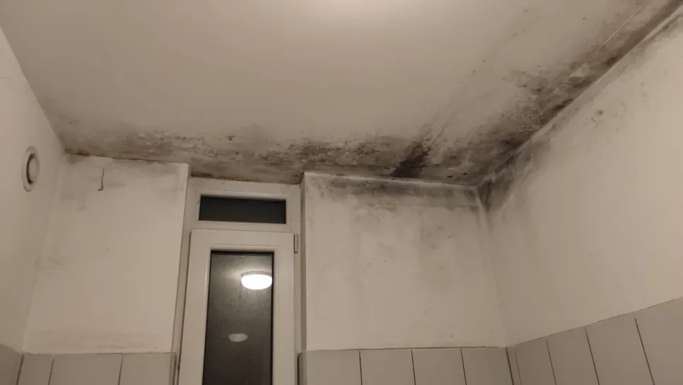 Mold growing on the ceiling near the bathroom window, indicating moisture issues.