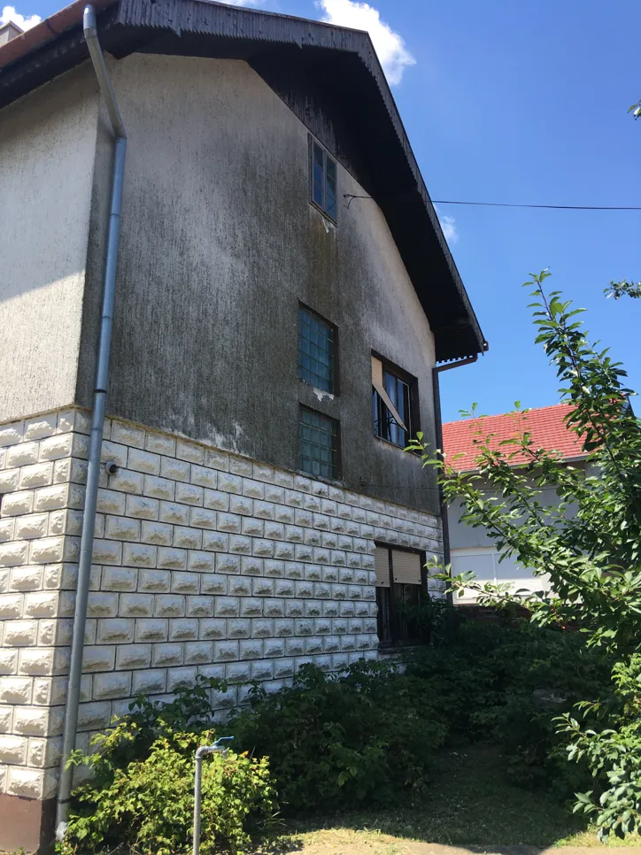 Mildew growth on exterior wall of house, indicating potential moisture issues and need for facade cleaning.