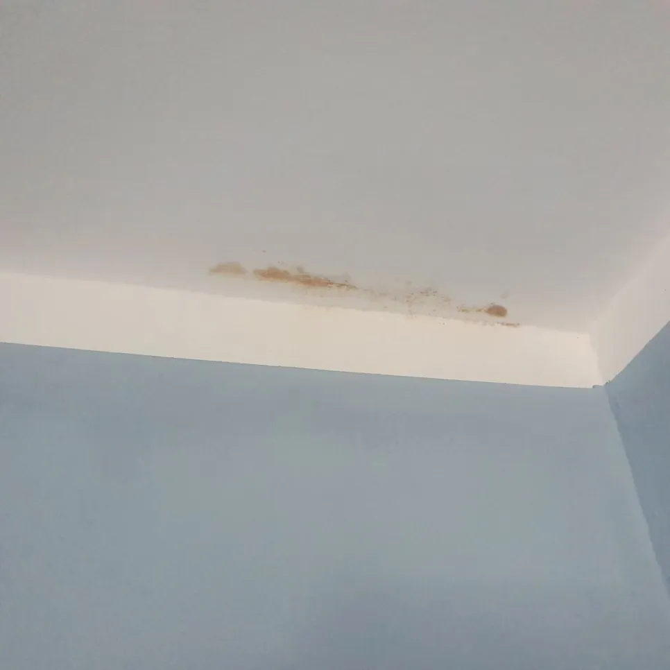 Brownish water stain on ceiling corner, indicating a possible roof leak or plumbing issue.