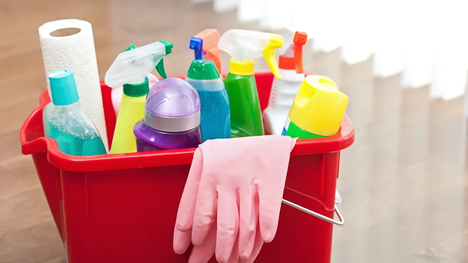 kanta proizvoda za čišćenje