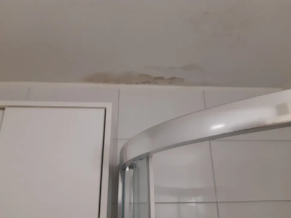 Mold growth on bathroom ceiling near shower due to moisture accumulation.