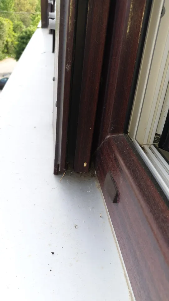 Drveni okvir prozora pokazuje vidljive praznine koje ukazuju na potencijalne probleme s prozračivanjem ili izolacijom.