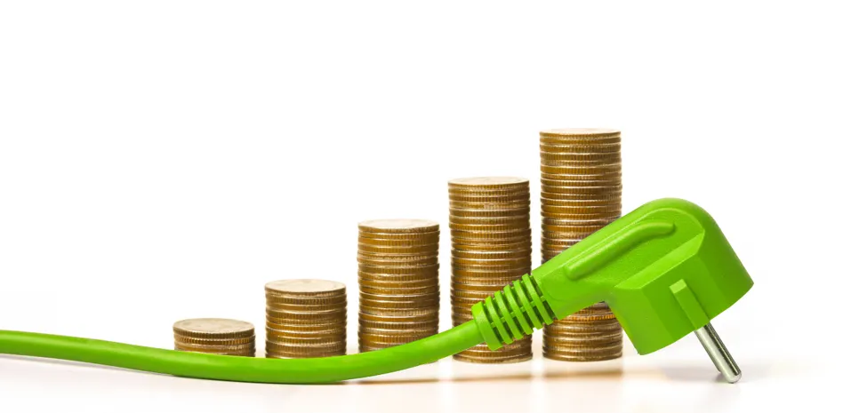 zeleni električni kabel i kovanci