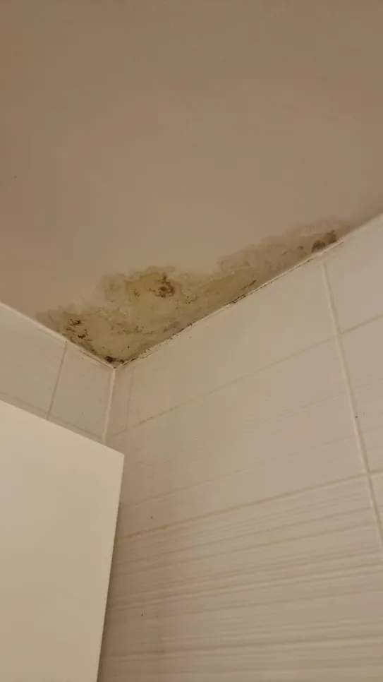 Discolored mold growth spreading across a corner of a bathroom ceiling, affecting the painted surface and tiles.