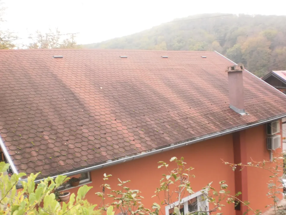 Moss covers sections of roof shingles, indicating possible water retention issues.