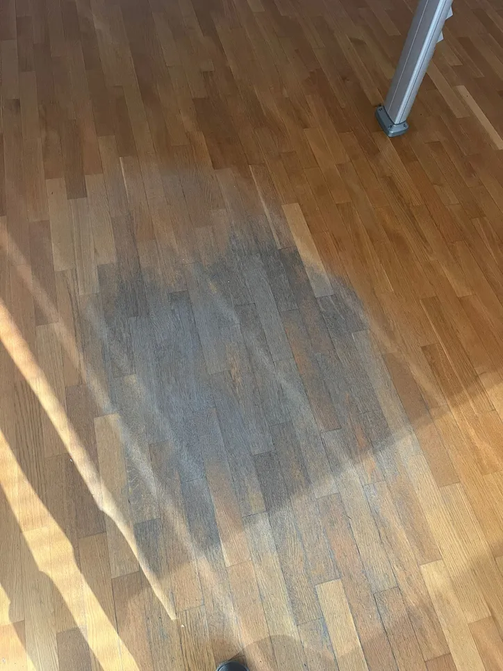 Sun-damaged hardwood floor showing visible discoloration and fading in a specific area.