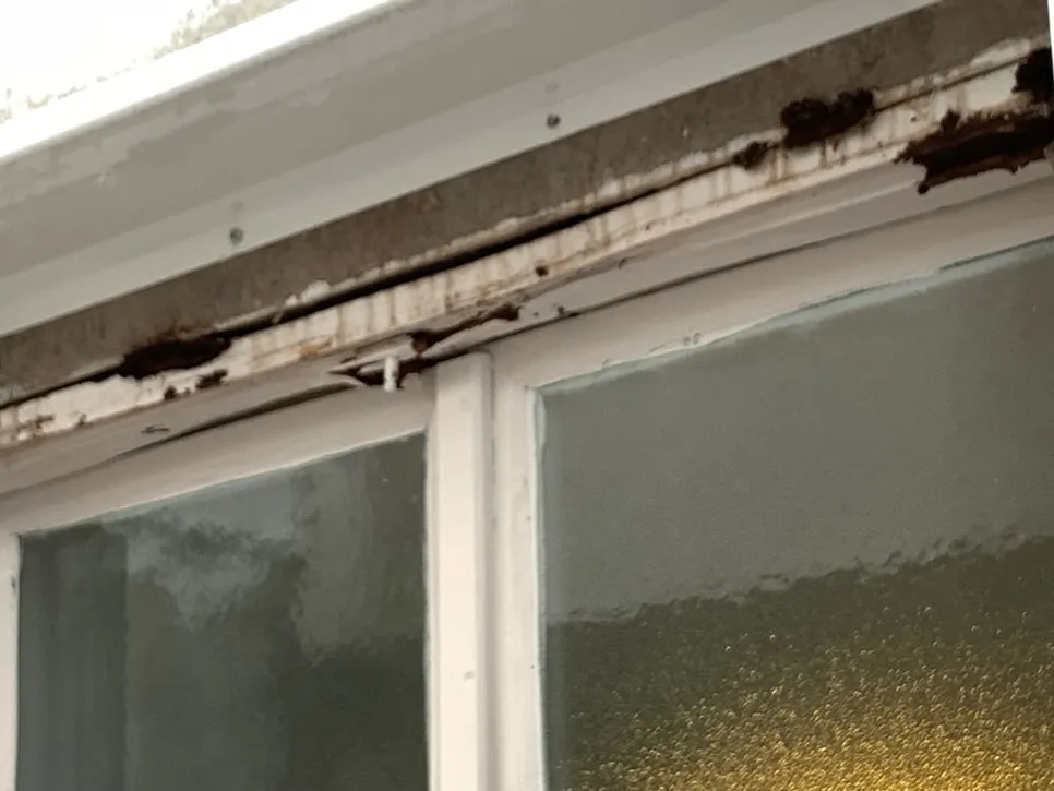 Deteriorated wooden window frame with visible rot and peeling paint, indicating water damage.