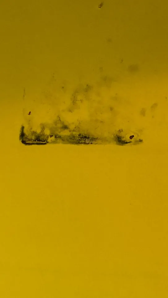 Žuta zidna površina s plijesni Tamna mrlja plijesni se formira na žutoj zidnoj površini, što ukazuje na probleme s vlagom u prostoriji.