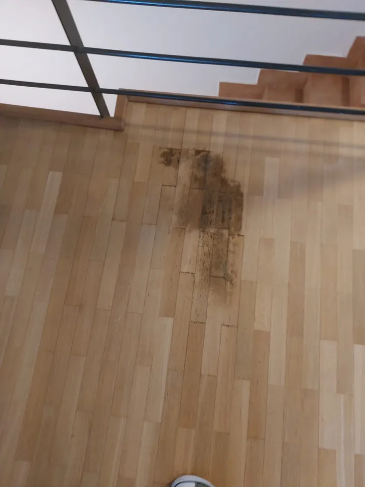 Smeđa mrlja od vode na svijetlom drvenom podu blizu stepenica, što ukazuje na moguću štetu od vode.