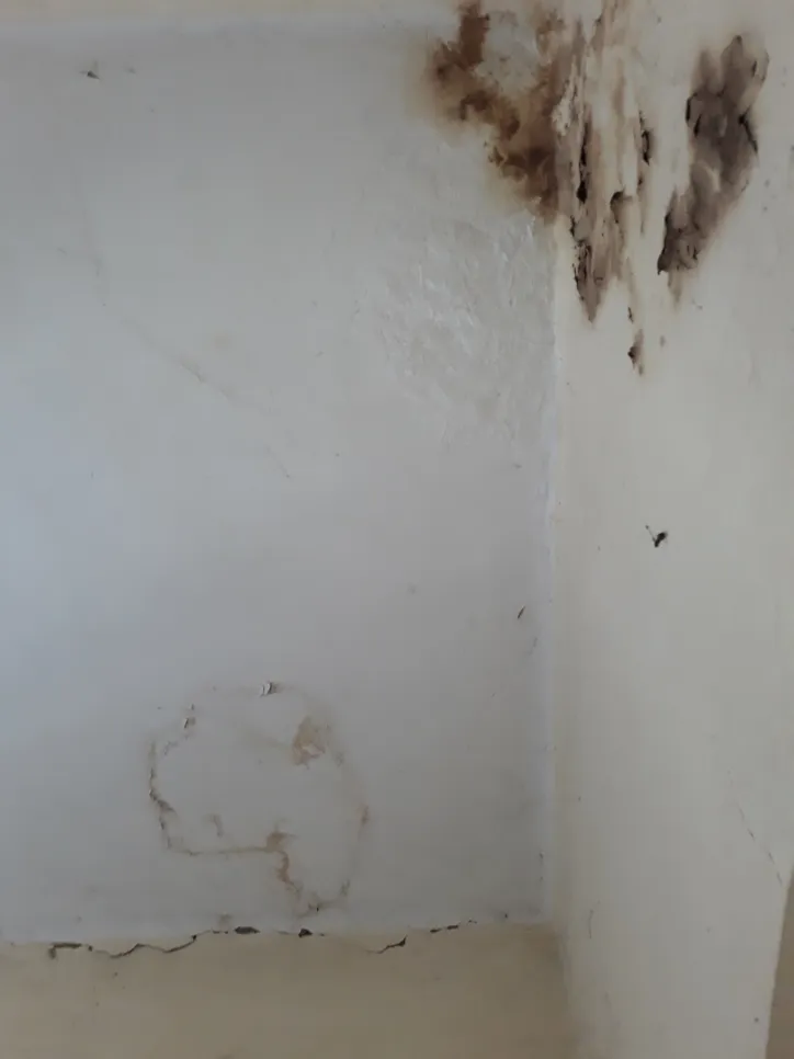 Oštećenje zida od plijesni Rast plijesni u kutu zida zbog vlage, uzrokujući promjenu boje i strukturna oštećenja.