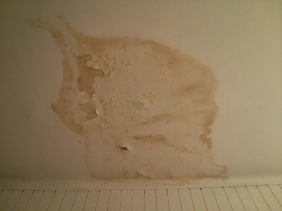 Strop s opsežnim žućkastim mrljama od vode i ljuštenjem boje, što ukazuje na ozbiljno oštećenje od vode.