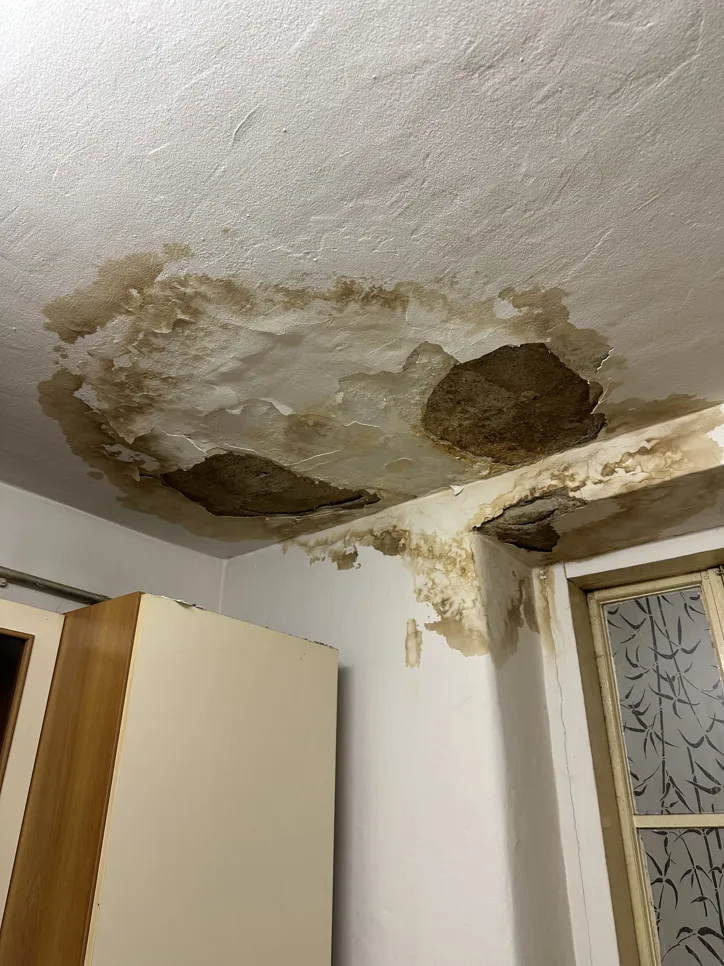 Smeđe mrlje od vode i ljuštenje boje na stropu ukazuju na oštećenje vodom i potencijalne curenja.